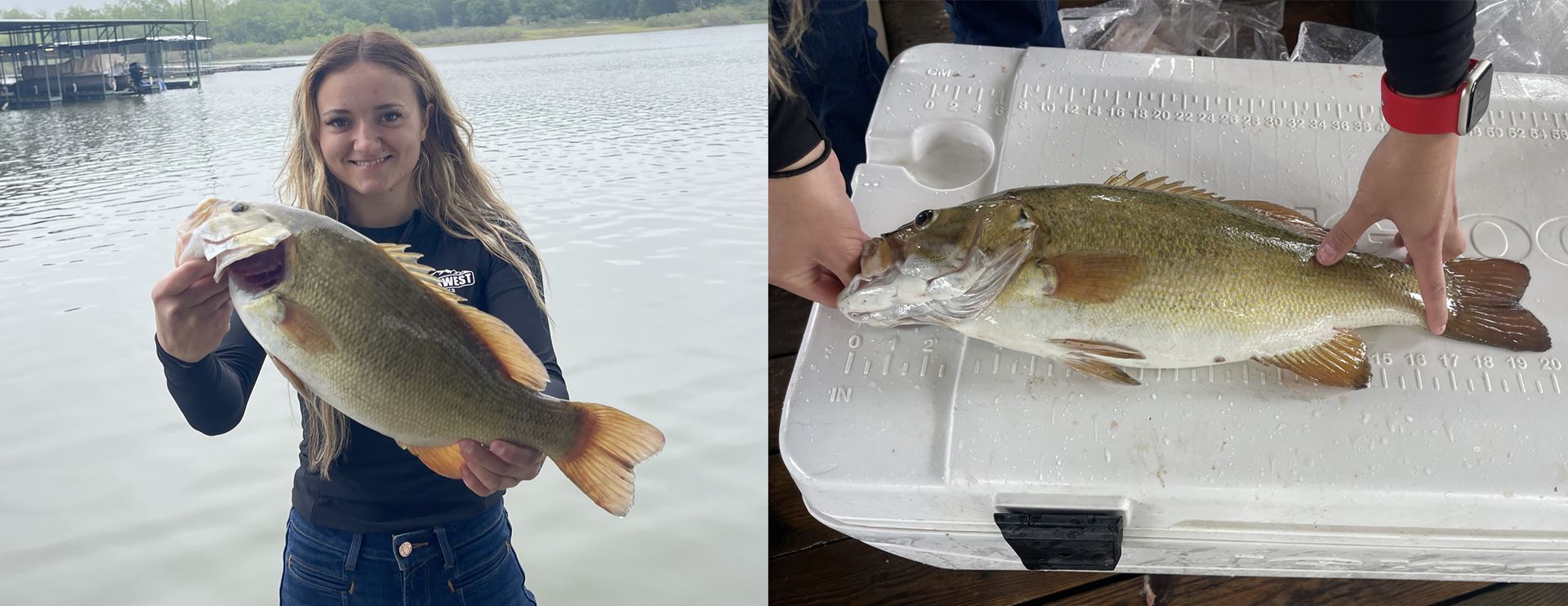 Red River Shootout fish catch